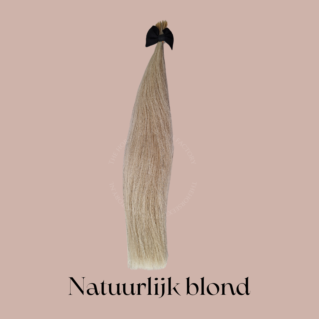 DIY Paarden I-Tip Extensions Manen
