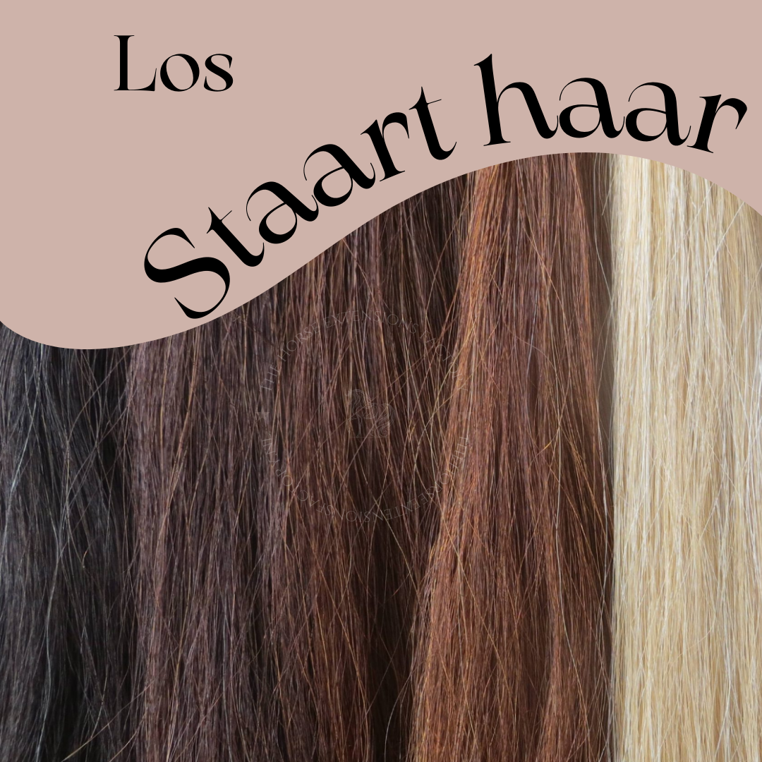 Los staart haar paard