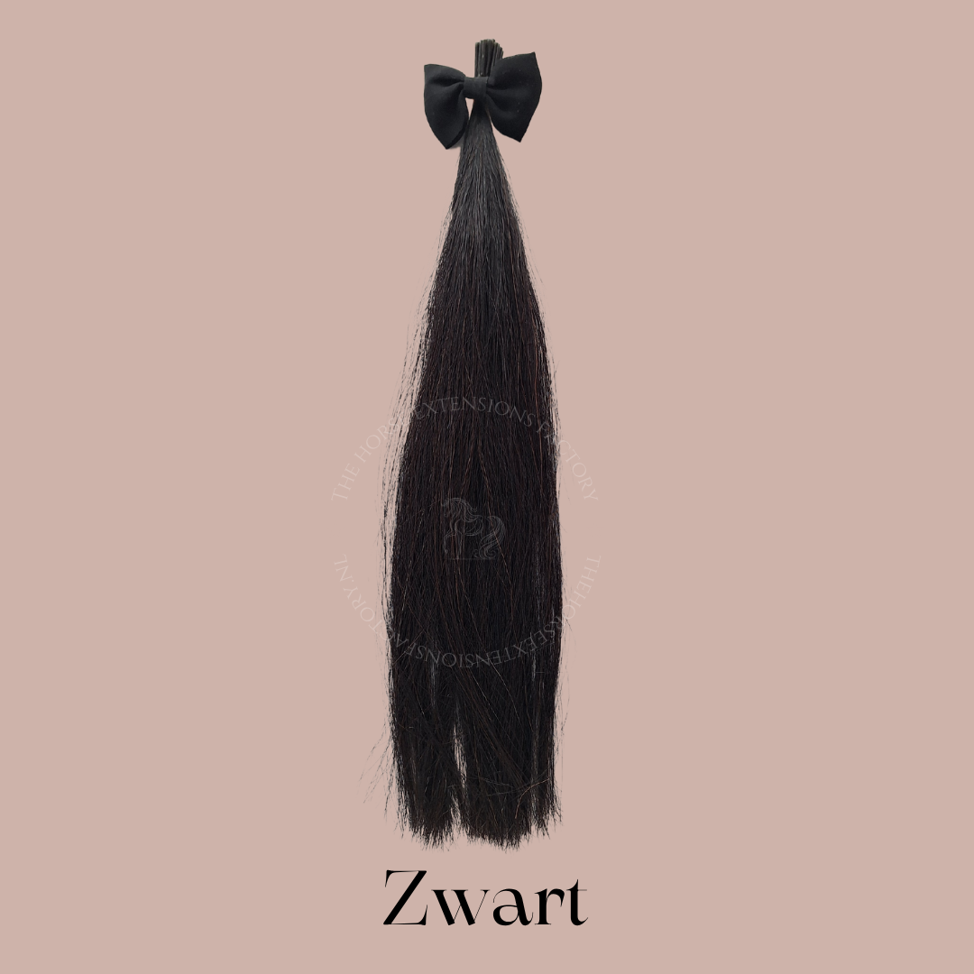 DIY Paarden I-Tip Extensions Manen